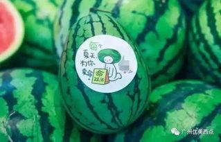 吃货瓜,探寻美食瓜的味蕾之旅