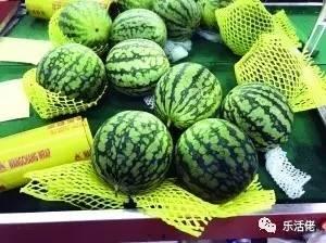 围观吃瓜窜稀,揭秘网络热议背后的“窜稀”现象