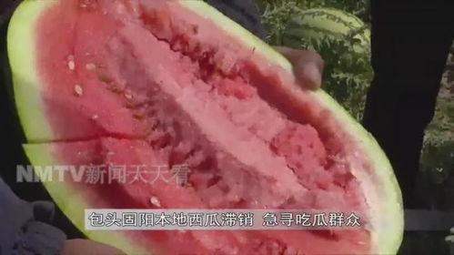 突然找到吃瓜群众,神秘事件引发全民围观