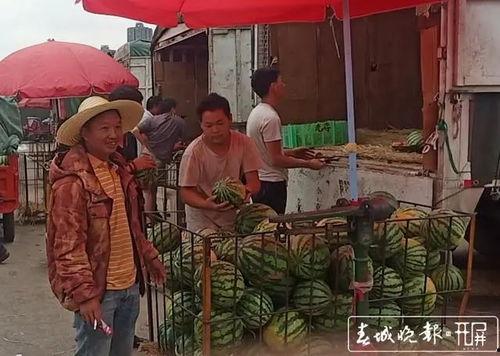 突然找到吃瓜群众,神秘事件引发全民围观