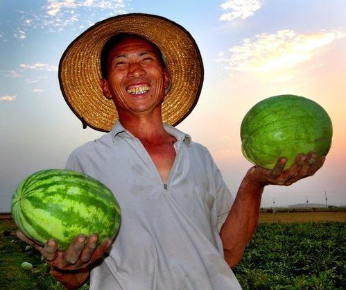 寿城吃瓜,探寻地方特色美食之旅