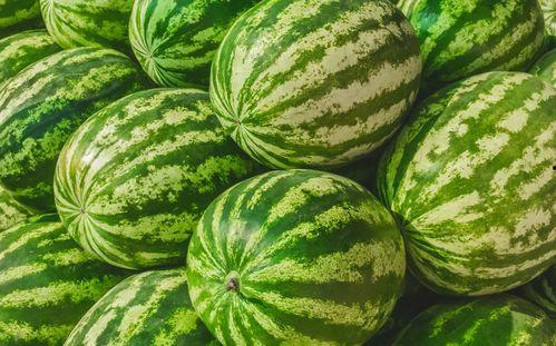 吃瓜qq吃瓜神器在哪找,吃瓜QQ吃瓜神器，轻松追踪热门话题！