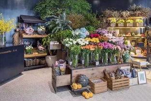 花店吃瓜事件始末,一场意外的舆论风暴