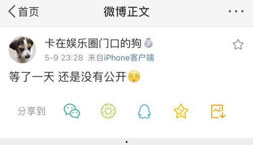 青年吃瓜爆料,揭秘娱乐圈幕后真相