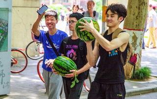 免费吃瓜连接学校,校园里的甜蜜诱惑与知识盛宴