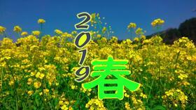 秋风冬雪吃瓜,一场别开生面的冬日食趣之旅