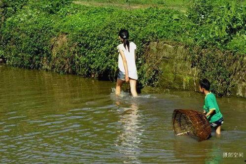 农村小溪捕鱼吃瓜,捕鱼品瓜，悠然自得乡村生活
