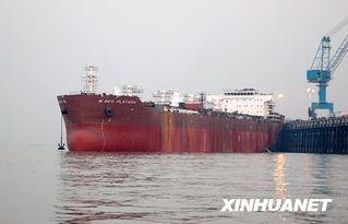 海轮斯吃瓜,揭秘娱乐圈背后的秘密与真相