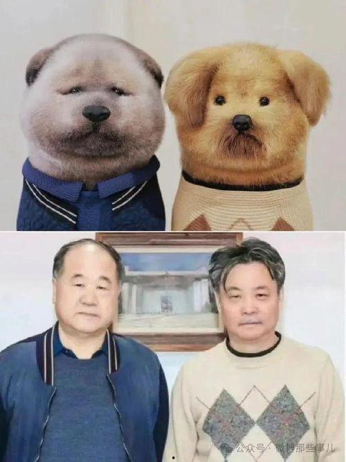 莫言吃瓜,揭秘文学巨匠的闲情逸致