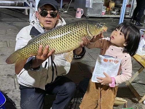 吃土瓜的鲤鱼图片,美食与自然的和谐交响